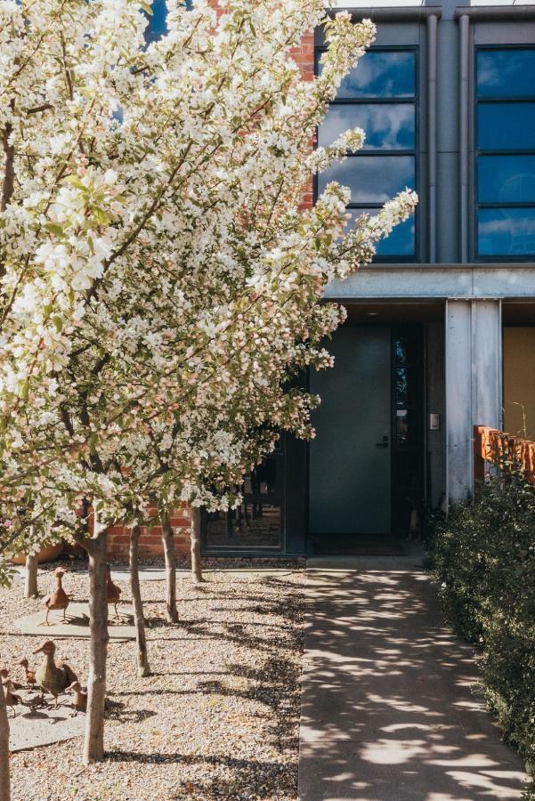 Mews Cottages Gisborne Luaran gambar
